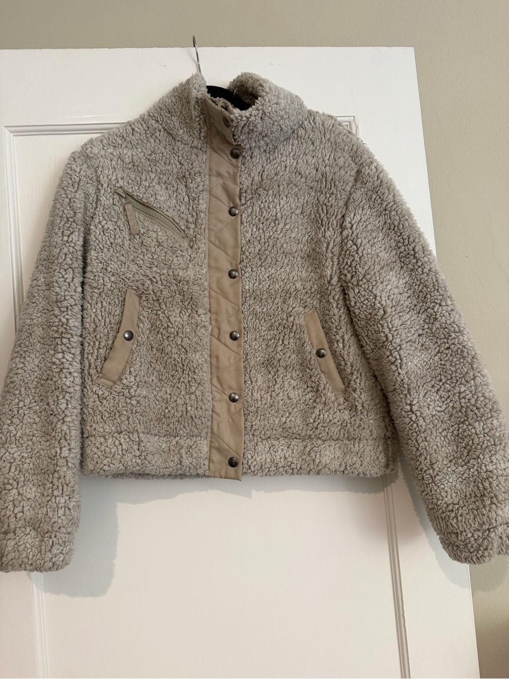 Blank NYC Cropped Teddy Jacket in Light Taupe